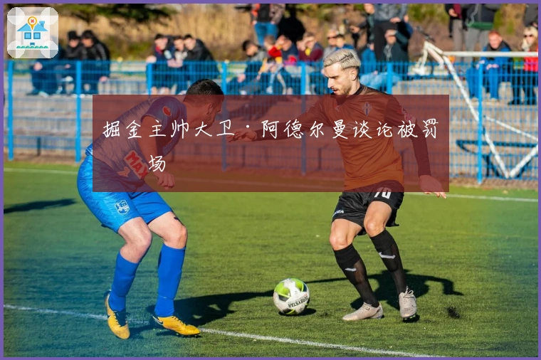 掘金主帅大卫·阿德尔曼谈论被罚离场