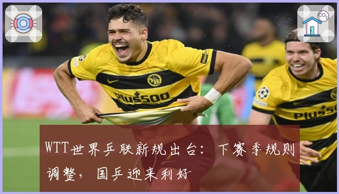 WTT世界乒联新规出台：下赛季规则调整，国乒迎来利好